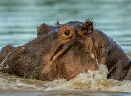 Lake Kariba